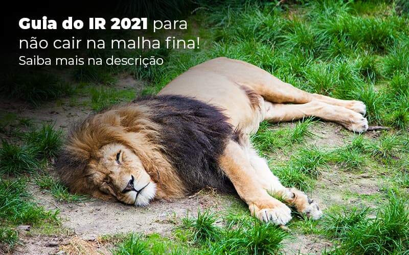 Guia Ir 2021 Para Nao Cair Na Malha Fina Saiba Mais Na Descricao Post 1 - BNG Contabilidade